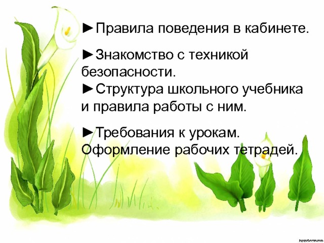 ► Правила поведения в кабинете. ► Знакомство с техникой безопасности. ► Структура школьного учебника и правила работы с ним. ► Требования к урокам. Оформление рабочих тетрадей. 