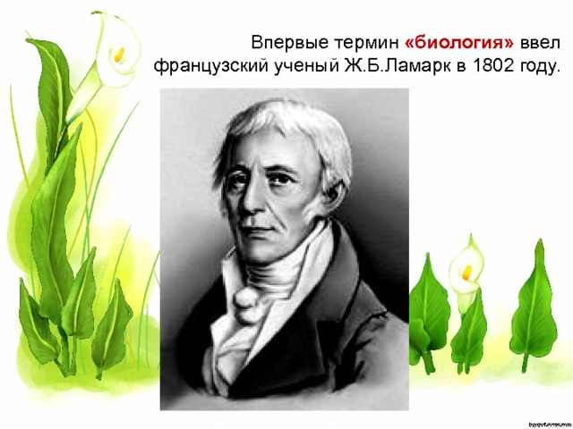 Впервые термин «биология» ввел французский ученый Ж.Б.Ламарк в 1802 году. 