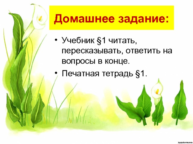 Домашнее задание: Учебник §1 читать, пересказывать, ответить на вопросы в конце. Печатная тетрадь §1. 