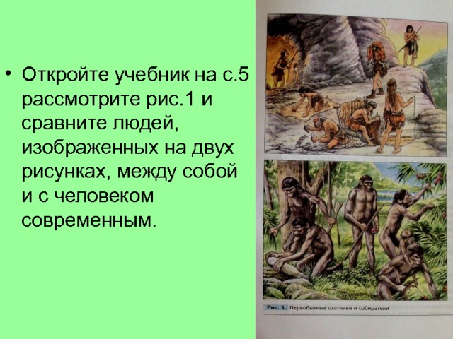 Откройте учебник на с.5 рассмотрите рис.1 и сравните людей, изображенных на двух рисунках, между собой и с человеком современным. 