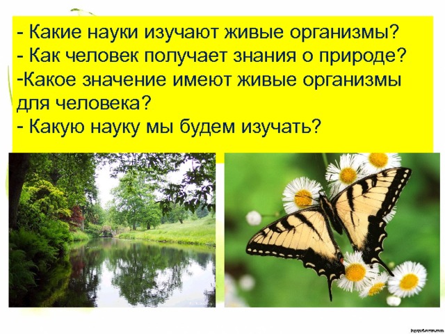 - Какие науки изучают живые организмы? - Как человек получает знания о природе? Какое значение имеют живые организмы для человека?  Какую науку мы будем изучать? 