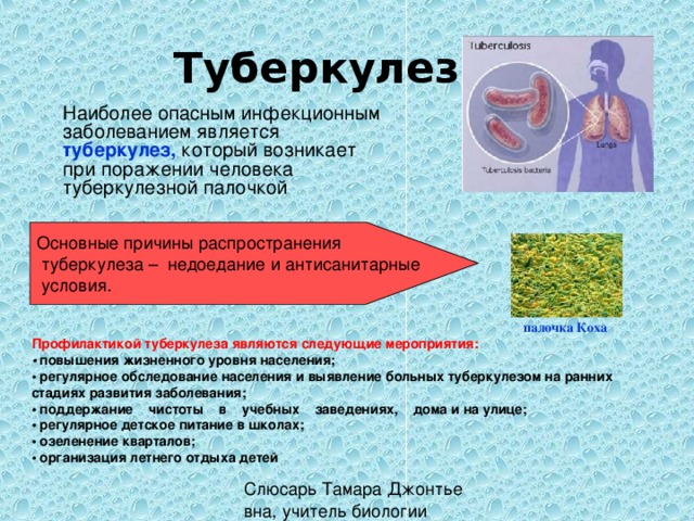 Туберкулез  Наиболее опасным инфекционным заболеванием является туберкулез,  который возникает при поражении человека туберкулезной палочкой палочка Коха Профилактикой туберкулеза являются следующие мероприятия: • повышения жизненного уровня населения; • регулярное обследование населения и выявление больных туберкулезом на ранних стадиях развития заболевания; • поддержание чистоты в учебных заведениях, дома и на улице; • регулярное детское питание в школах; • озеленение кварталов; • организация летнего отдыха детей 