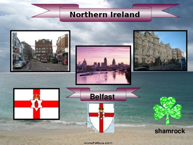 Northern Ireland  Belfast shamrock 