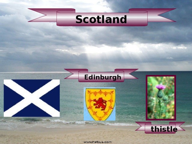 Scotland Edinburgh thistle 