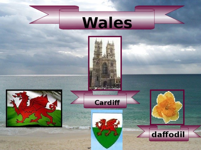 Wales Cardiff daffodil 