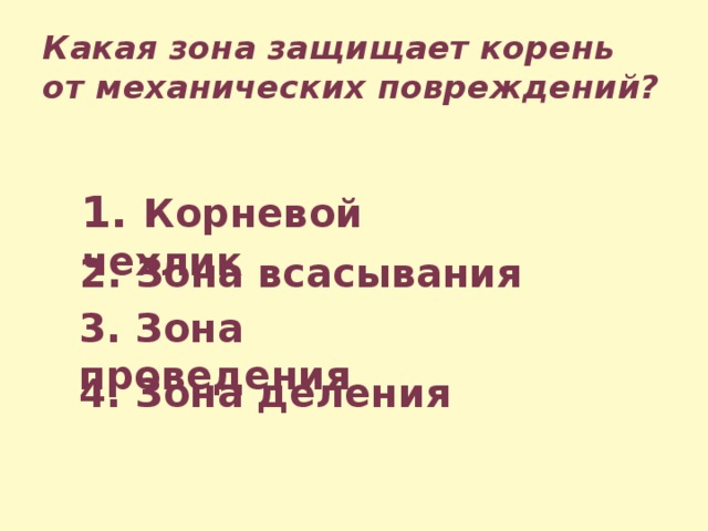 Защищать корень