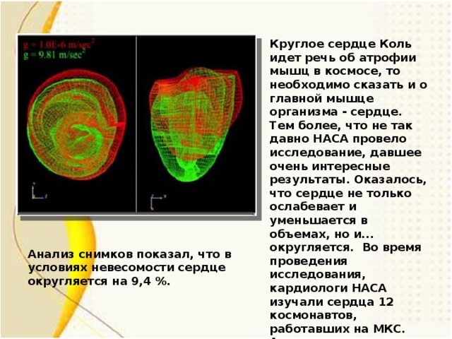Круглое сердце Коль идет речь об атрофии мышц в космосе, то необходимо сказать и о главной мышце организма - сердце. Тем более, что не так давно НАСА провело исследование, давшее очень интересные результаты. Оказалось, что сердце не только ослабевает и уменьшается в объемах, но и... округляется. Во время проведения исследования, кардиологи НАСА изучали сердца 12 космонавтов, работавших на МКС. Анализ снимков показал, что в условиях невесомости сердце округляется на 9,4 %. Анализ снимков показал, что в условиях невесомости сердце округляется на 9,4 %.