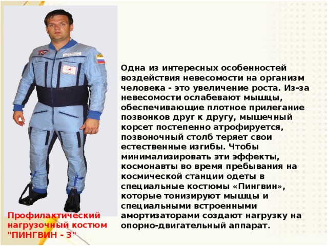 Одна из интересных особенностей воздействия невесомости на организм человека - это увеличение роста. Из-за невесомости ослабевают мышцы, обеспечивающие плотное прилегание позвонков друг к другу, мышечный корсет постепенно атрофируется, позвоночный столб теряет свои естественные изгибы. Чтобы минимализировать эти эффекты, космонавты во время пребывания на космической станции одеты в специальные костюмы «Пингвин», которые тонизируют мышцы и специальными встроенными амортизаторами создают нагрузку на опорно-двигательный аппарат. Профилактический нагрузочный костюм