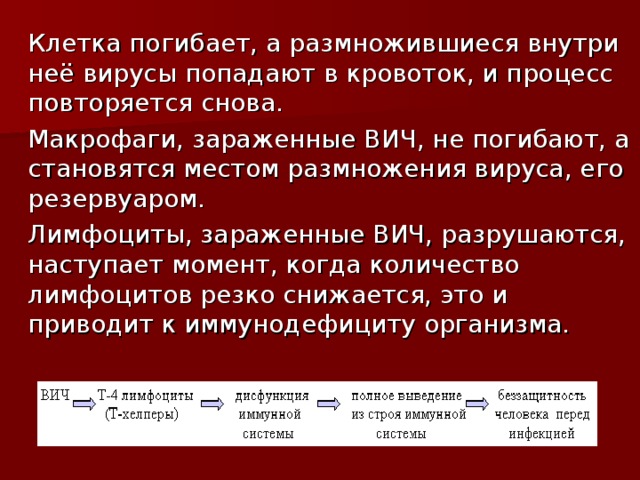 Клетка погибает, а размножившиеся внутри неё вирусы попадают в кровоток, и процесс повторяется снова. Макрофаги, зараженные ВИЧ, не погибают, а становятся местом размножения вируса, его резервуаром. Лимфоциты, зараженные ВИЧ, разрушаются, наступает момент, когда количество лимфоцитов резко снижается, это и приводит к иммунодефициту организма. 