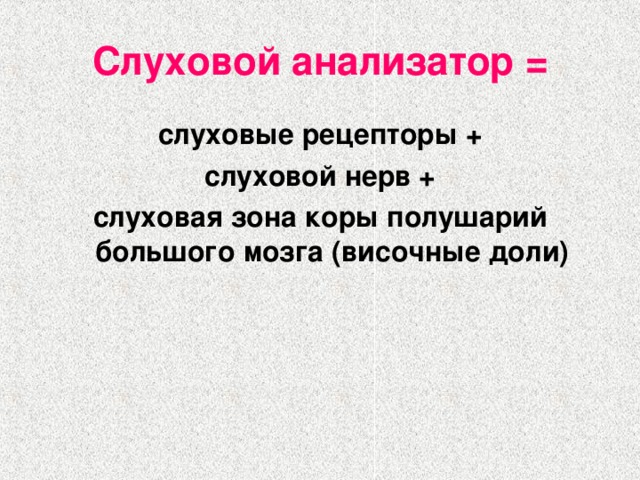 Слуховой анализатор = слуховые рецепторы + слуховой нерв + слуховая зона коры полушарий большого мозга (височные доли)