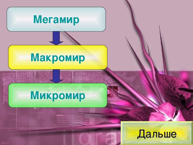 Презентация на тему микромир