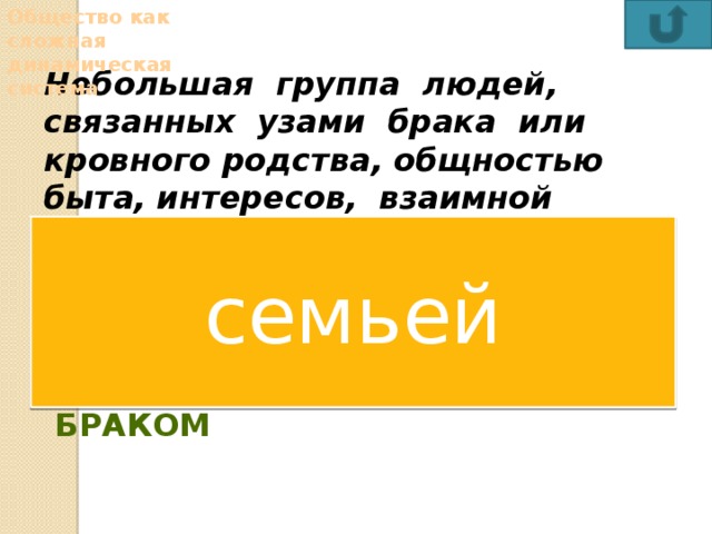 Общество как сложная динамическая система Небольшая группа людей, связанных узами брака или кровного родства, общностью быта, интересов, взаимной помощью и ответственностью, называется  компанией    семьей  коллективом    браком семьей