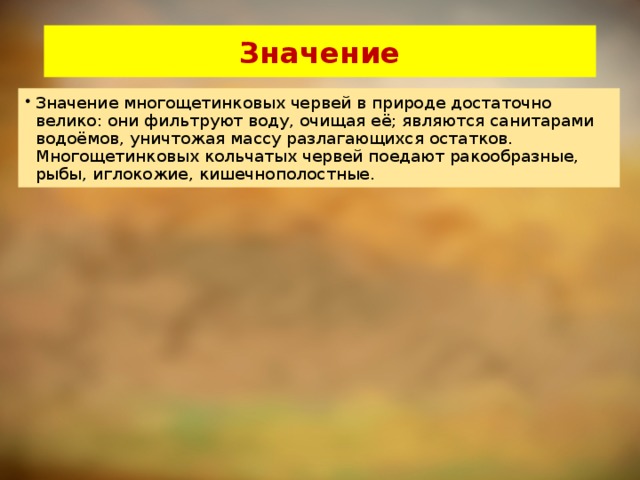 Значение Значение многощетинковых червей в природе достаточно велико: они фильтруют воду, очищая её; являются санитарами водоёмов, уничтожая массу разлагающихся остатков. Многощетинковых кольчатых червей поедают ракообразные, рыбы, иглокожие, кишечнополостные. 