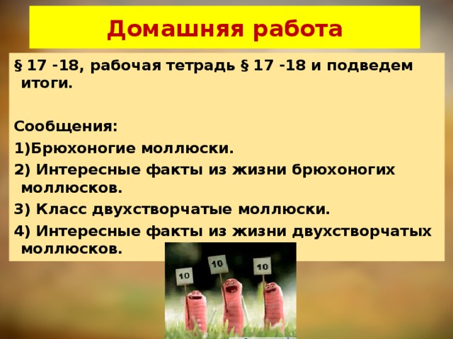 Домашняя работа § 17 -18, рабочая тетрадь § 17 -18 и подведем итоги.  Сообщения: 1)Брюхоногие моллюски. 2) Интересные факты из жизни брюхоногих моллюсков. 3) Класс двухстворчатые моллюски. 4) Интересные факты из жизни двухстворчатых моллюсков.  