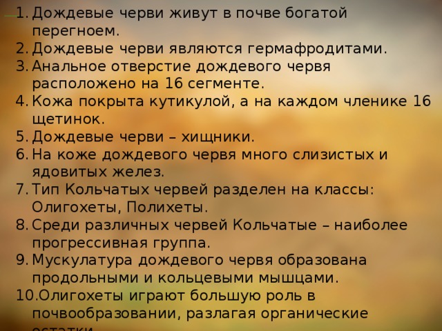 Дождевые черви живут в почве богатой перегноем. Дождевые черви являются гермафродитами. Анальное отверстие дождевого червя расположено на 16 сегменте. Кожа покрыта кутикулой, а на каждом членике 16 щетинок. Дождевые черви – хищники. На коже дождевого червя много слизистых и ядовитых желез. Тип Кольчатых червей разделен на классы: Олигохеты, Полихеты. Среди различных червей Кольчатые – наиболее прогрессивная группа. Мускулатура дождевого червя образована продольными и кольцевыми мышцами. Олигохеты играют большую роль в почвообразовании, разлагая органические остатки.  Выберите из предложенных суждений правильные 