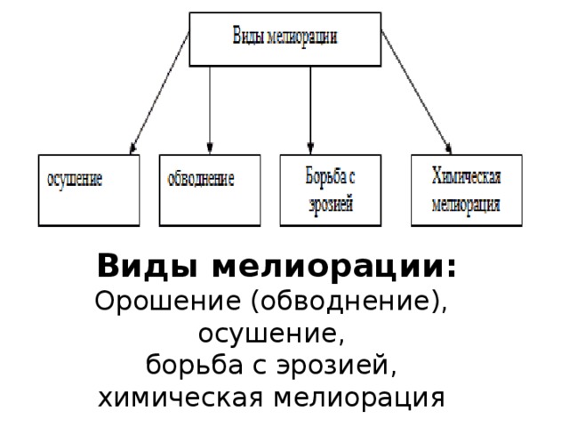 Мелиорация виды