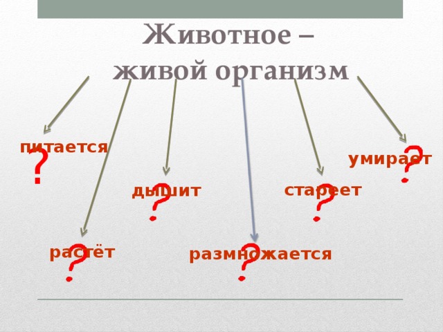 Животное – живой организм ? питается умирает стареет дышит растёт размножается 