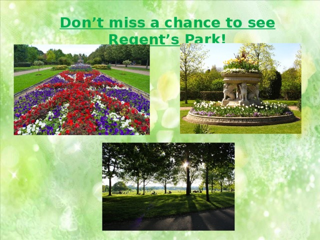 Don’t miss a chance to see Regent’s Park! 