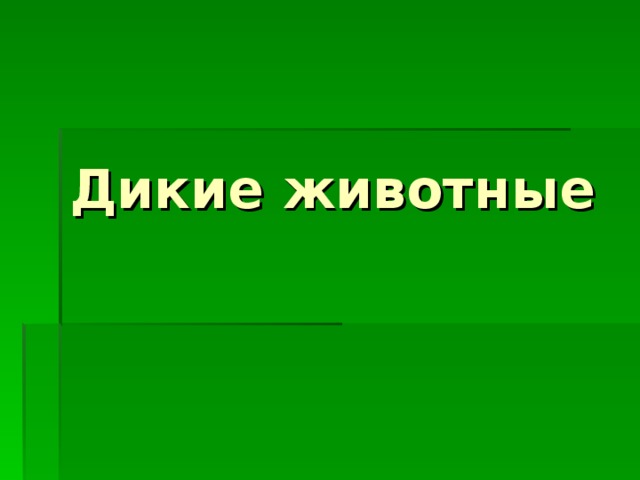  Дикие животные 