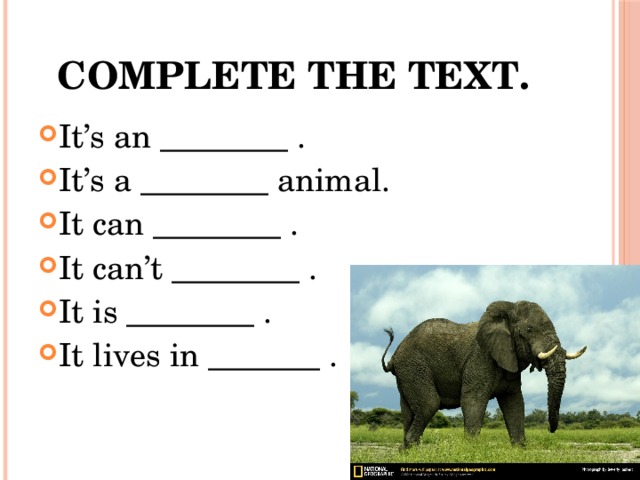 Complete the text. It’s an ________ . It’s a ________ animal. It can ________ . It can’t ________ . It is ________ . It lives in _______ .  