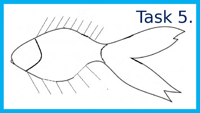 Task 5.