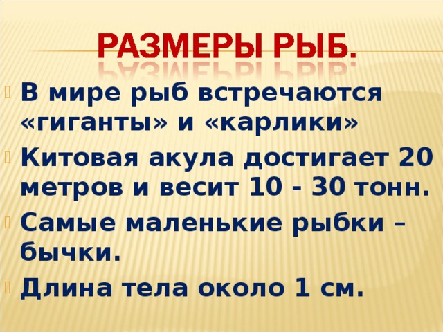 В мире рыб встречаются «гиганты» и «карлики» Китовая акула достигает 20 метров и весит 10 - 30 тонн. Самые маленькие рыбки – бычки. Длина тела около 1 см.