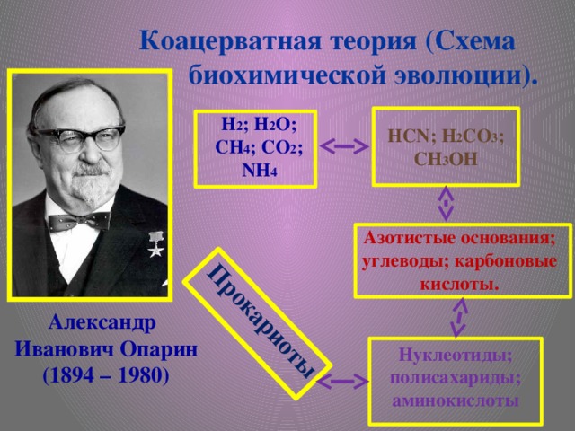 Схема биохимической эволюции