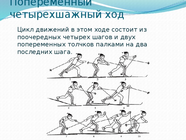 Попеременный четырехшажный ход Цикл движений в этом ходе состоит из поочередных четырех шагов и двух попеременных толчков палками на два последних шага. 