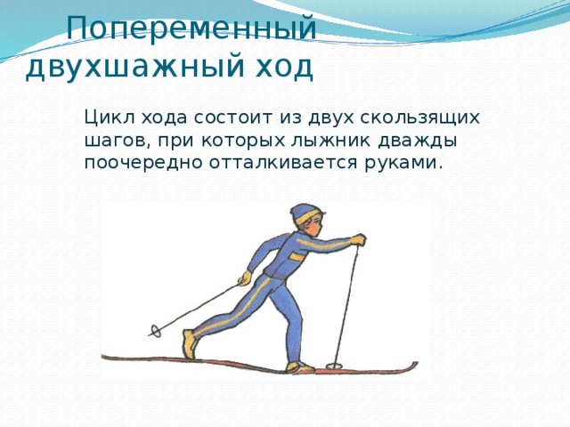  Попеременный двухшажный ход  Цикл хода состоит из двух скользящих шагов, при которых лыжник дважды поочередно отталкивается руками. 
