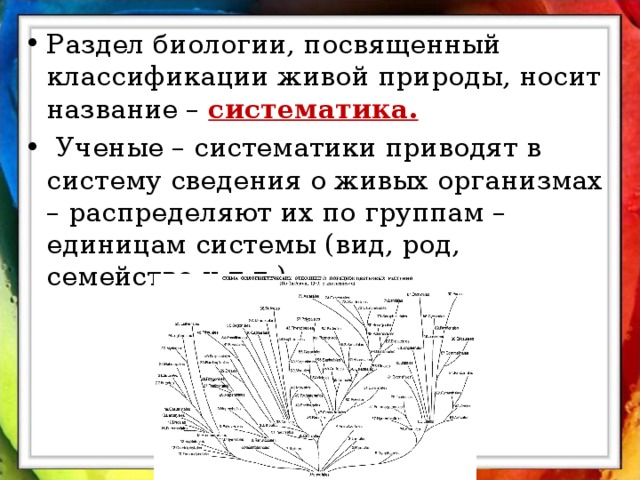 Раздел биологии, посвященный классификации живой природы, носит название – систематика.  Ученые – систематики приводят в систему сведения о живых организмах – распределяют их по группам – единицам системы (вид, род, семейство и т.д.) 