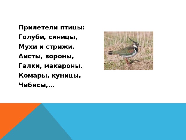 Прилетели птицы: Голуби, синицы, Мухи и стрижи. Аисты, вороны, Галки, макароны. Комары, куницы, Чибисы,… 