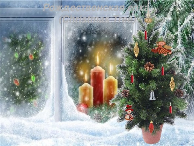Рождественская елка (Christmas Tree)
