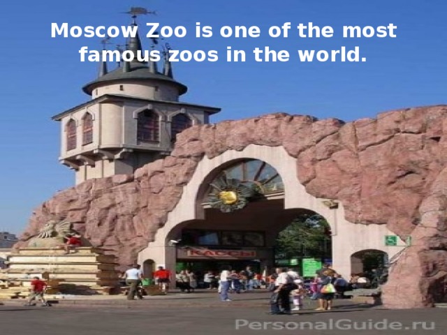 Moscow Zoo is one of the most famous zoos in the world. 