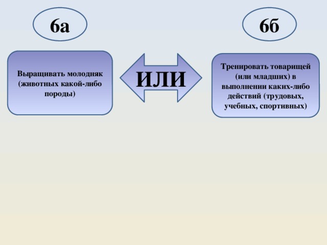 6а 6б Выращивать молодняк (животных какой-либо породы) ИЛИ Тренировать товарищей (или младших) в выполнении каких-либо действий (трудовых, учебных, спортивных) 