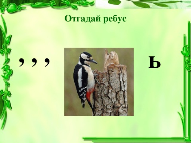 Отгадай ребус , , , ь