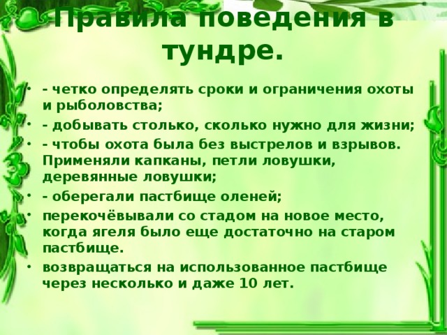 Правила поведения в тундре.