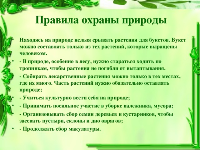 Правила охраны природы