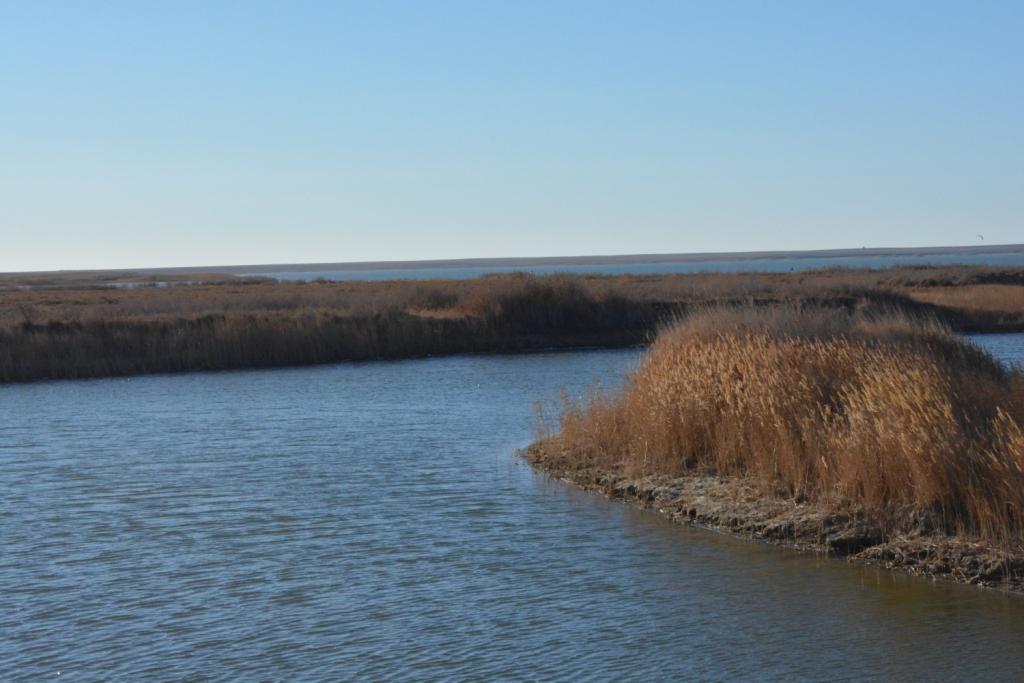 Транссексуал кончает без-фри порно