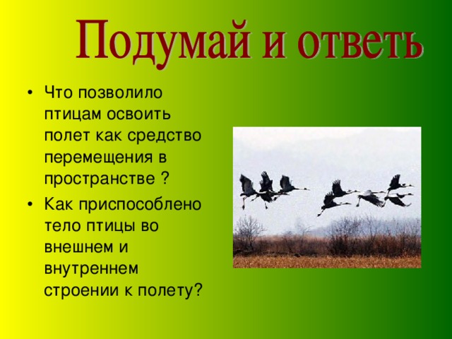 Что позволило птицам освоить полет как средство перемещения в пространстве ? Как приспособлено тело птицы во внешнем и внутреннем строении к полету?