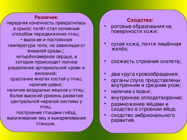 Различия: передняя конечность превратилась в крыло; полёт стал основным способом передвижения птиц;  высокая и постоянная температура тела, не зависящая от внешней среды;; четырёхкамерное сердце, в котором происходит полное разделение артериальной крови и венозной; срастание многих костей у птиц; наличие цевки; наличие воздушных мешков у птиц; более высокий уровень развития центральной нервной системы у птиц; построение птицами гнёзд, высиживание яиц и выкармливание птенцов.  Сходства: