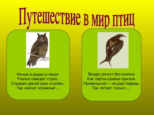 Воздух режут без усилья,  Как серпы кривые крылья.  Промелькнет – не разглядишь,  Так летает только ... Ночью в рощах и лесах  Уханье наводит страх,  Страшен дикий крик и силен,  Так кричит огромный ...
