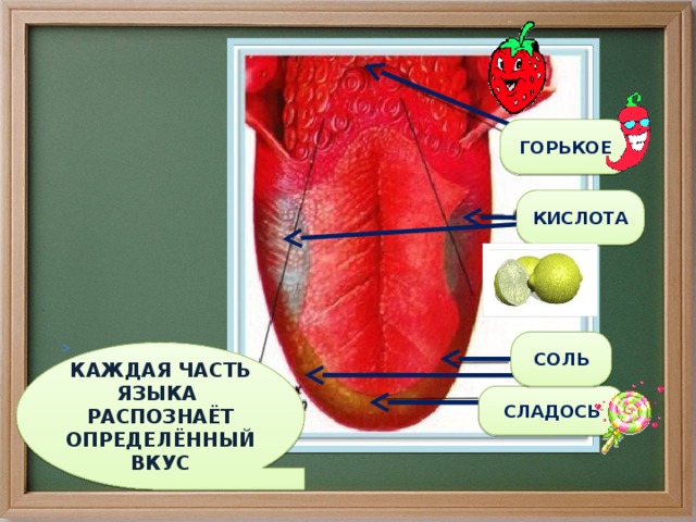 Соль разъела язык