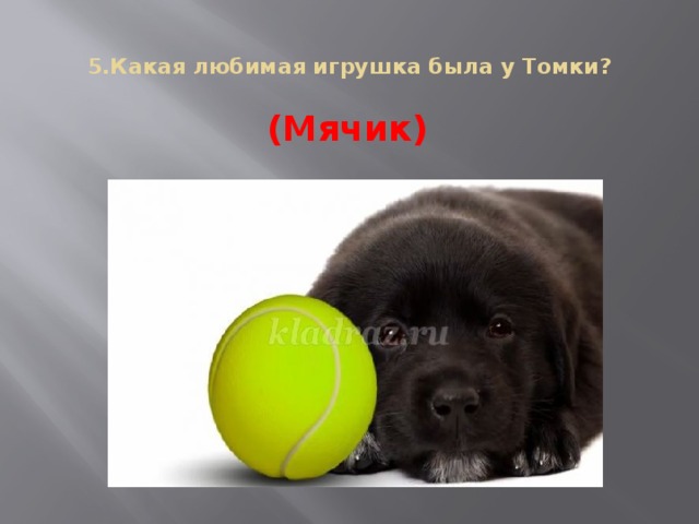 5.Какая любимая игрушка была у Томки?   (Мячик)