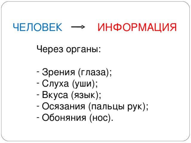 ЧЕЛОВЕК  ИНФОРМАЦИЯ Через органы:  Зрения (глаза);  Слуха (уши);  Вкуса (язык);  Осязания (пальцы рук);  Обоняния (нос). 