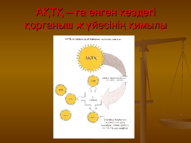 АҚТҚ – ға енген кездегі қорғаныш жүйесінің қимылы 