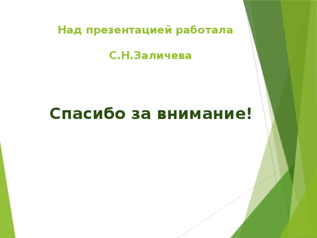  Над презентацией работала   С.Н.Заличева   Спасибо за внимание! 