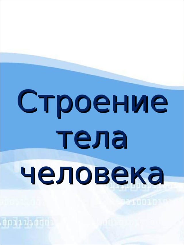 Мультимедийный урок по окружающему миру во 2-м классе по теме "Строение тела человека"