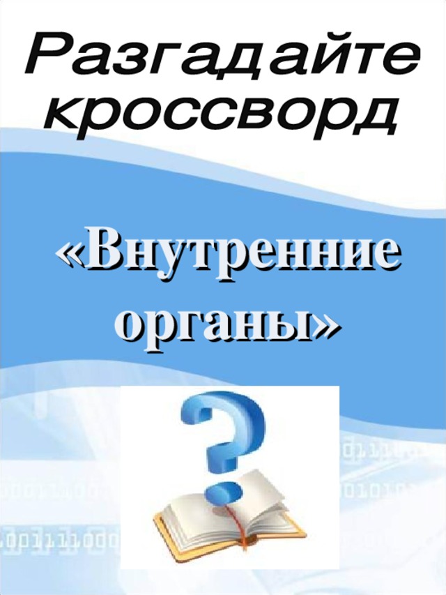 Мультимедийный урок по окружающему миру во 2-м классе по теме "Строение тела человека"