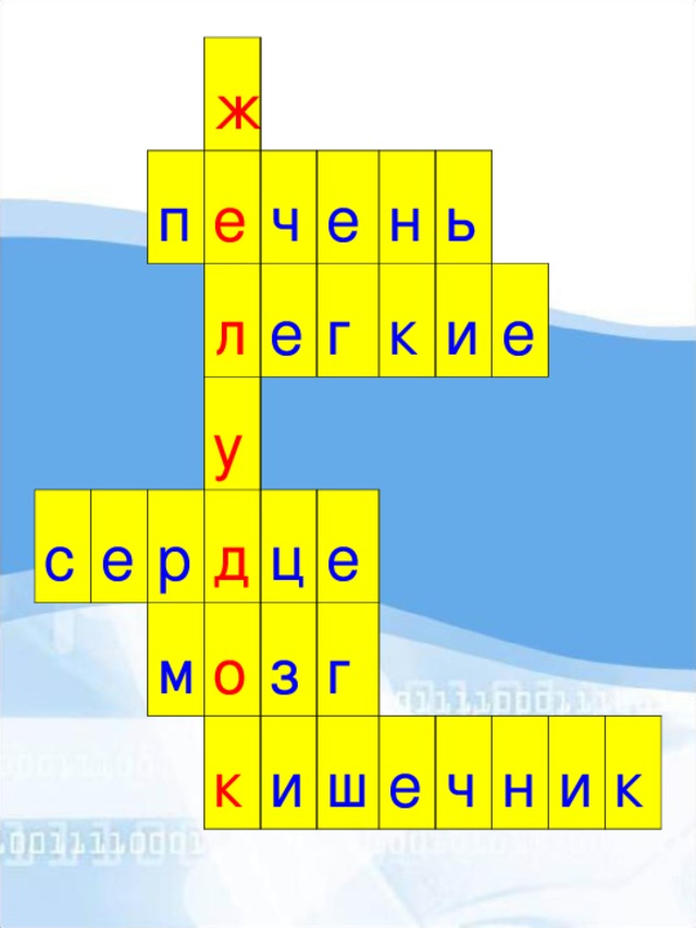 Мультимедийный урок по окружающему миру во 2-м классе по теме "Строение тела человека"