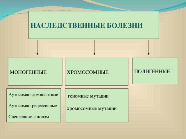 НАСЛЕДСТВЕННЫЕ БОЛЕЗНИ ХРОМОСОМНЫЕ МОНОГЕННЫЕ ПОЛИГЕННЫЕ  геномные мутации хромосомные мутации Аутосомно-доминантные Аутосомно-рецессивные Сцепленные с полом 